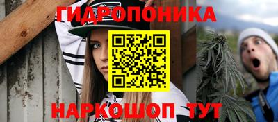 PSILOCYBIN Конаково
