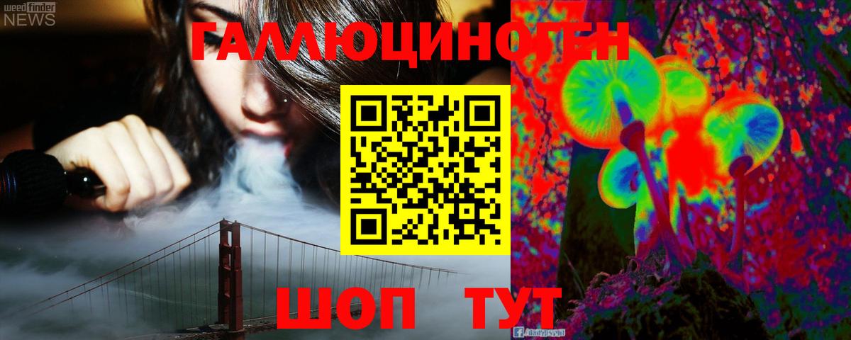 Элиста  Псилоцибиновые грибы прущие грибы  Вход с VPN 